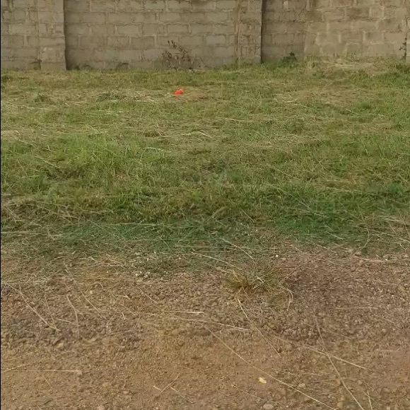 smi_s